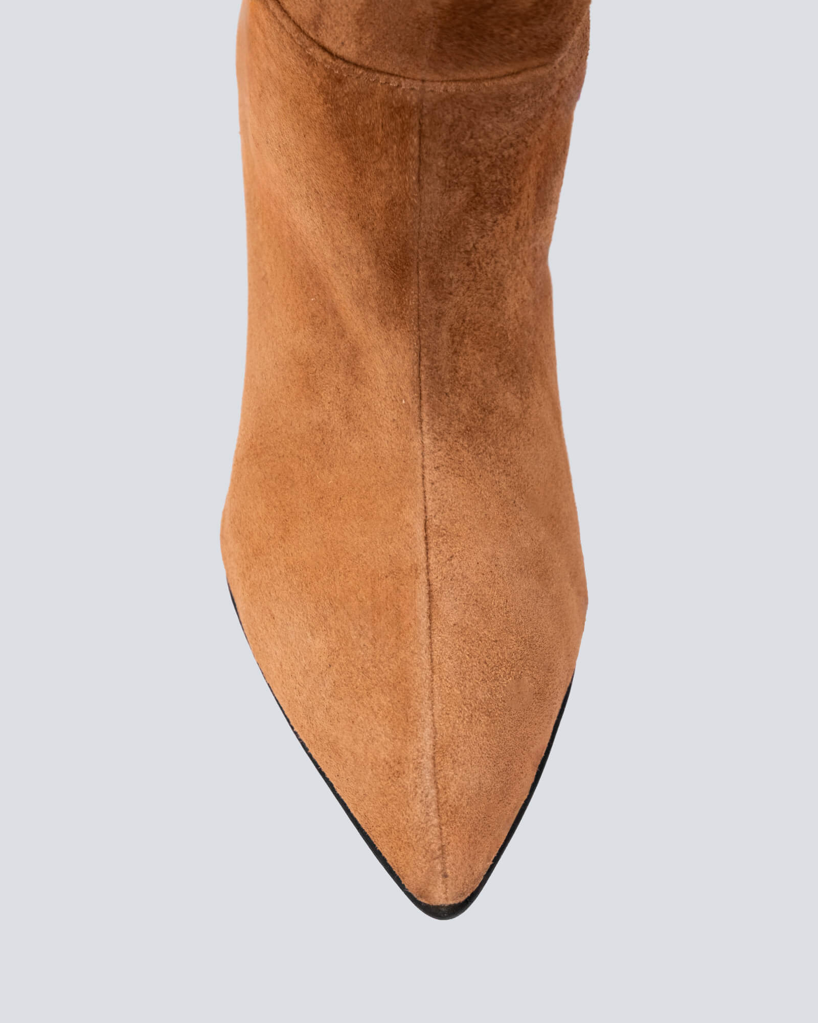 Botin Volterra miel